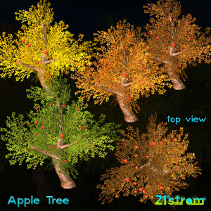 FruitsTrees-vendor-Apple2