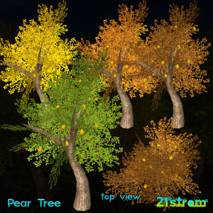 FruitsTrees-vendor-PEAR2
