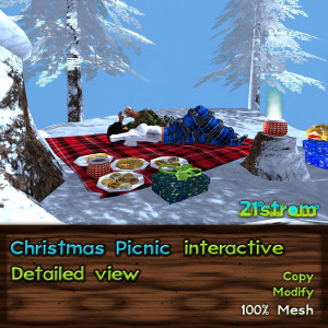 Christmas picnic